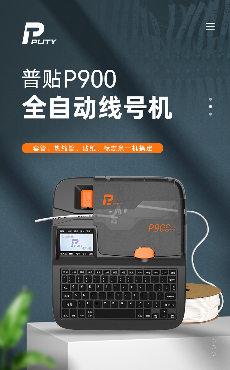 P900(图1)