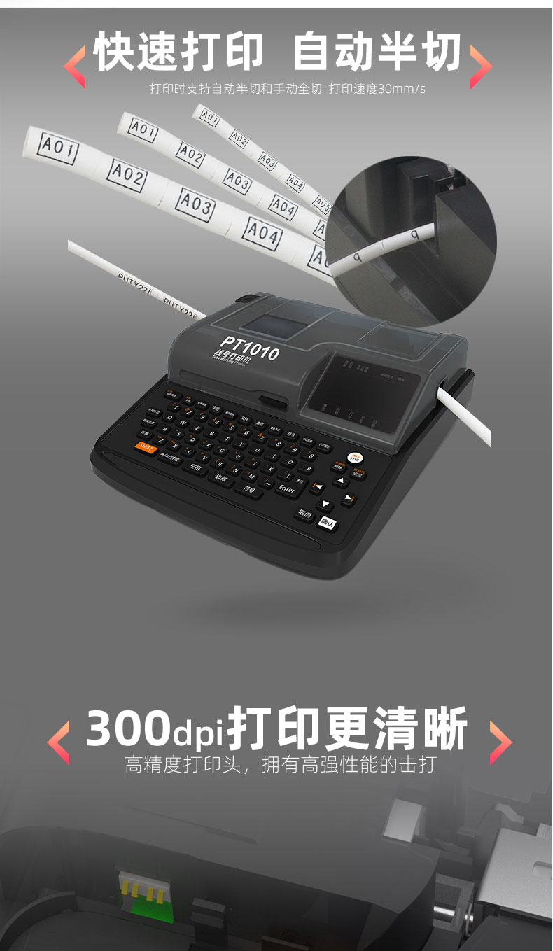 PT1010(图2)