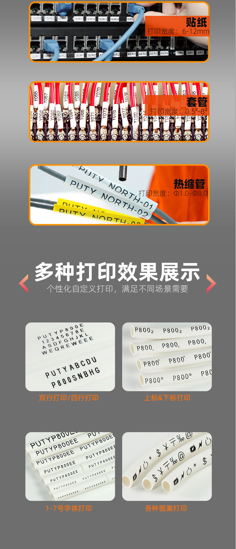 PT1010(图6)